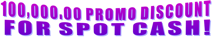 100,000.00 PROMO DISCOUNT           FOR SPOT CASH!